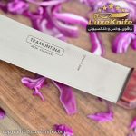چاقوی مخصوص شف ترامونتیا برزیل ( مخصوص فیله بری و راسته بری ) - Image 2