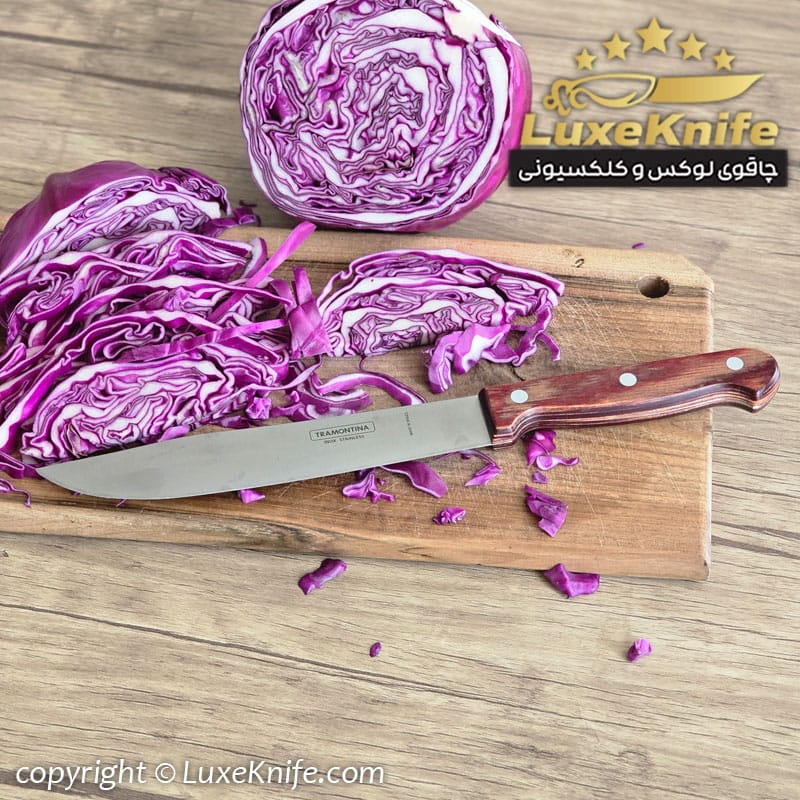 چاقوی مخصوص شف ترامونتیا برزیل ( مخصوص فیله بری و راسته بری )
