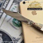 اثر هنری کلکسیونی استاد پرویز علیخانی طرح ماهی (جنس دسته صدف دریایی اصل ) - Image 2