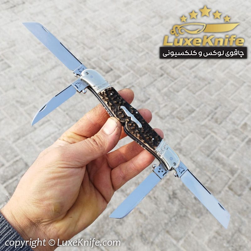 قلم تراش سوپر لوکس 4 تیغه طرح دو سرمرغی استاد مسعود توسلیان