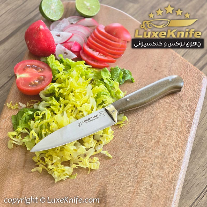 چاقوی دم دستی زنجان مدل آیکان دسته کائوچو